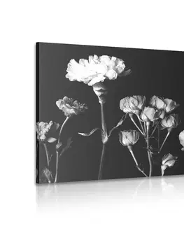 Čiernobiele obrazy Obraz elegantné čiernobiele kvety