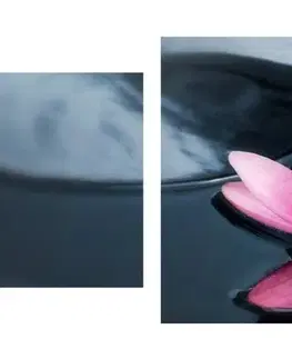 Obrazy Feng Shui 5-dielny obraz lotosový kvet v jazere