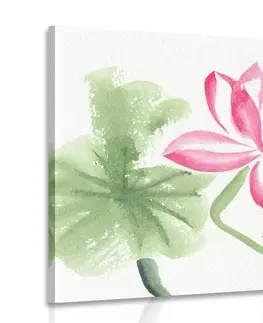 Obrazy kvetov Obraz akvarelový lotosový kvet