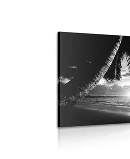 Čiernobiele obrazy Obraz východ slnka na karibskej pláži v čiernobielom prevedení