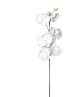 Kvety Umelá zasnežená Orchidea biela, 81 cm