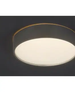 Svietidlá Rabalux 75010 stropné LED svietidlo Larcia, 18 W, strieborná