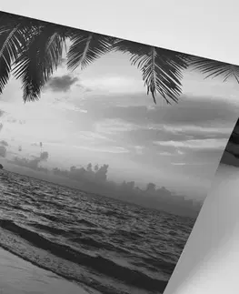 Čiernobiele tapety Fototapeta čiernobiela karibská pláž