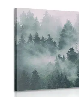 Obrazy prírody a krajiny Obraz hory v hmle