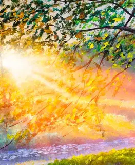 Obrazy prírody a krajiny Obraz východ slnka v lese