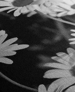 Čiernobiele obrazy Obraz sedmokrásky na záhrade v čiernobielom prevedení