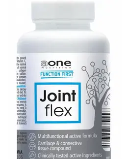 Komplexná výživa kĺbov Joint Flex - Aone 90 kaps.