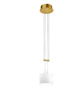 Závesné svietidlá BANKAMP BANKAMP Grazia závesná lampa 1-pl. 16cm mosadz