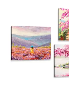 Zostavy obrazov Set obrazov nádherná imitácia olejomaľby v ružovej farbe