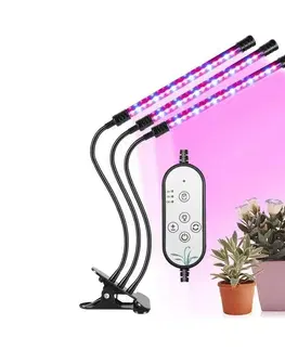 Lampy  LED Stmievateľná stolná lampa s klipom na pestovanie rastlín LED/12W/5V 
