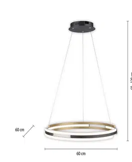 SmartHome lustre Q-Smart-Home Paul Neuhaus Q-Beluga LED závesné svietidlo mosadz