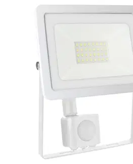 Záhradné lampy  LED Vonkajší reflektor so senzorom NOCTIS LUX 2 LED/30W/230V 4000K IP44 biela 