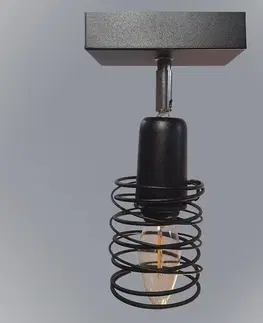 Lampy do obývačky Lampa Mini Spring 2805/Z-A-1 LS1