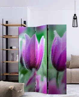 Paravány Paraván Purple spring tulips Dekorhome 225x172 cm (5-dielny)