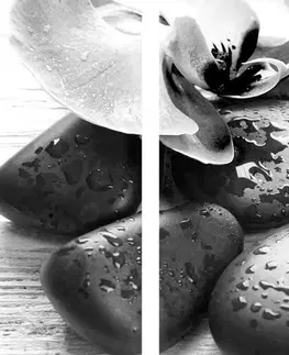 Čiernobiele obrazy 5-dielny obraz krásna súhra kameňov a orchidey v čiernobielom prevedení