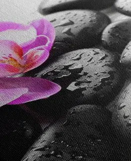 Obrazy Feng Shui Obraz kúzelná súhra kameňov a orchidey