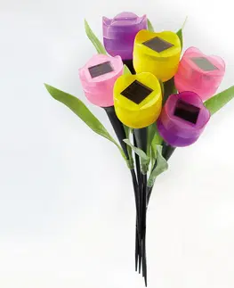 Vonkajšie osvetlenie 6 solárnych tulipánov