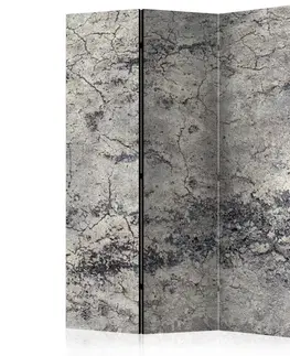 Paravány Paraván Grey Lady Dekorhome 135x172 cm (3-dielny)