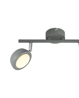 Svietidlá  LED Bodové svietidlo MILD 2xLED/6W/230V šedá 