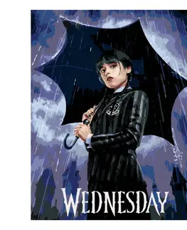 Kreatívne a výtvarné hračky ZUTY - Diamantové maľovanie (bez rámu) - Wednesday Addams na plagáte