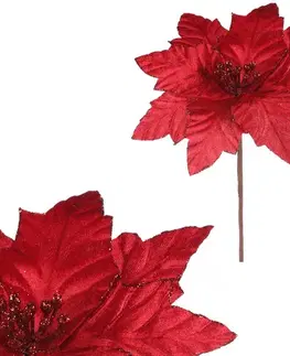 Vianočné dekorácie Kvet vianočnéj ruže 22 cm, zamat, červená