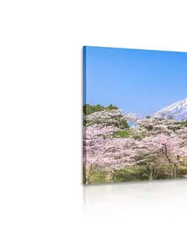 Obrazy prírody a krajiny Obraz sopka Fuji