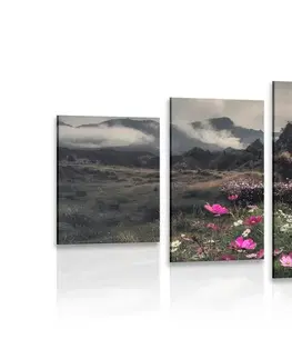 Obrazy prírody a krajiny 5-dielny obraz lúka kvitnúcich kvetov