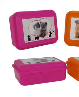 Boxy na desiatu TVAR - Box desiatový mačka, pes