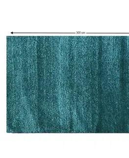 Koberce Shaggy koberec ARUNA Tempo Kondela 200x300 cm
