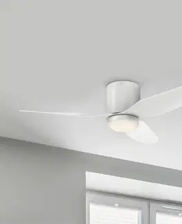 Stropné ventilátory so svetlom Westinghouse Westinghouse Carla stropný ventilátor s LED, biely