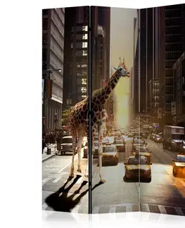 Paravány Paraván Giraffe in the Big City Dekorhome 135x172 cm (3-dielny)