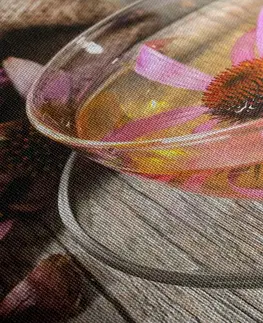 Obrazy jedlá a nápoje Obraz šálka bylinkového čaju