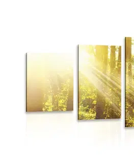 Obrazy prírody a krajiny 5-dielny obraz slnečné lúče v lese