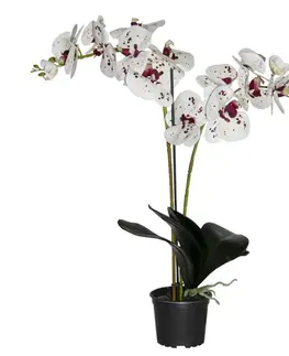 Záhradné dekorácie Umelá prémiová orchidea 18 kvetov 80 cm