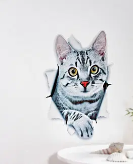 Drobné dekorácie a doplnky Samolepka na stenu Mačka