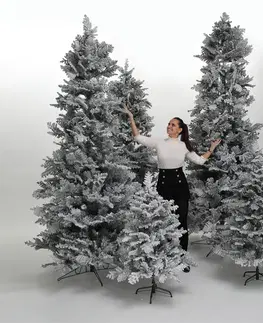 Vianočné stromčeky Vianočný stromček, zasnežený, 245 cm, MARAVEL TYP 3