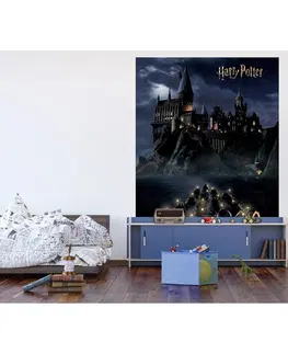 Tapety Detská fototapeta Harry Potter Hogwarts Night 182 x 252 cm, 4 diely