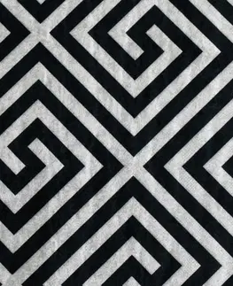 Koberce a koberčeky Koberec, čierno-biely vzor, 80x150, MOTIVE