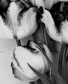 Čiernobiele obrazy Obraz tulipány v jarnom nádychu v čiernobielom prevedení