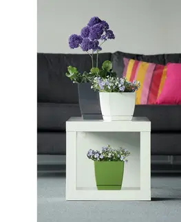 Kvetináče a truhlíky Kvetináč Coubi Square s miskou biela,18 x 18 x 16,5 cm