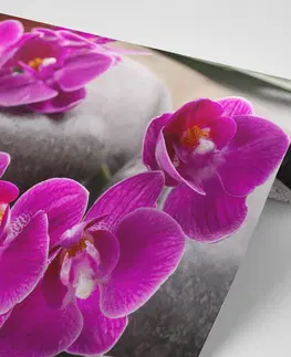 Tapety Feng Shui Fototapeta  nádherná orchidea a Zen kamene