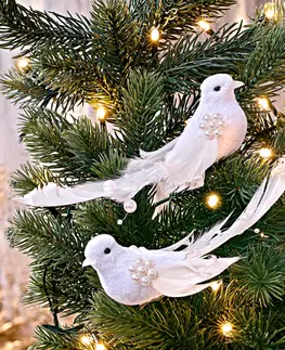 Drobné dekorácie a doplnky 4 holubice s perím