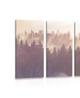 Obrazy prírody a krajiny 5-dielny obraz hmla nad lesom