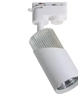 Svietidlá  Bodové svietidlo NEO do lištového systému 1xGU10/8W/230V biela 