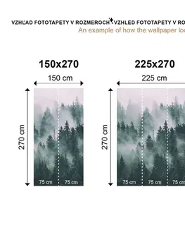 Tapety príroda Fototapeta les v hmle