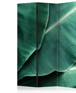 Paravány Paraván Banana Leaf Dekorhome 135x172 cm (3-dielny)