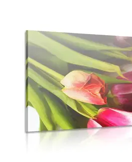 Obrazy kvetov Obraz kytica farebných tulipánov