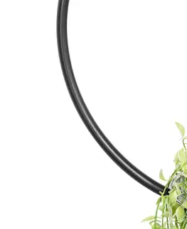 Zavesne lampy Moderné závesné svietidlo čierne so skleneným okrúhlym - Roslini