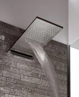 Sprchy a sprchové panely SAPHO - Nástenná hlavová sprcha, 500x200, kaskáda, nerez lesk DC562