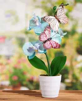 Drobné dekorácie a doplnky Súprava 2 3D motýle
